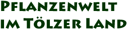 Pflanzenwelt im T&ouml;lzer Land