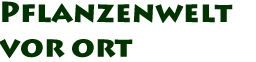 Pflanzenwelt vor Ort