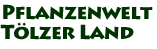 Pflanzenwelt im T&ouml;lzer Land