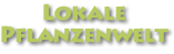 Lokale Pflanzenwelt