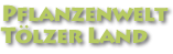 Pflanzenwelt im T&ouml;lzer Land