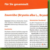 Naturheilkundliche Beschreibung der Zaunrübe - Artikel in der Deutschen Heilpraktiker Zeitschrift 05/2012