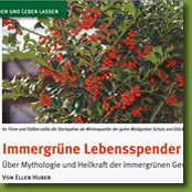 Artikel über Mythologie und Heilkraft immergrüner Gewächse im Magazin Schöner Bayerischer Wald 01/2014