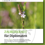 Eisenkraut -  Zauberkraut für Diplomaten - Artikel in der Deutschen Heilpraktiker Zeitschrift 07/2017
