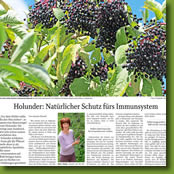 Holunder - Natürlicher Schutz fürs Immunsystem - Artikel in der Passauer Neuen Presse 08/2017