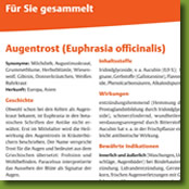 Augentrost-Artikel in der Deutschen Heilpraktiker Zeitschrift, Mai 2008