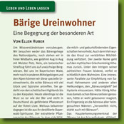 Bärige Ureinwohner - Der Bärwurz - Artikel im Magazin Schöner Bayerischer Wald 02/2016