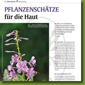 Pflanzenschaetze für die Haut - Heilpflanzen - Artikel in der Deutschen Heilpraktiker Zeitschrift 06/2017